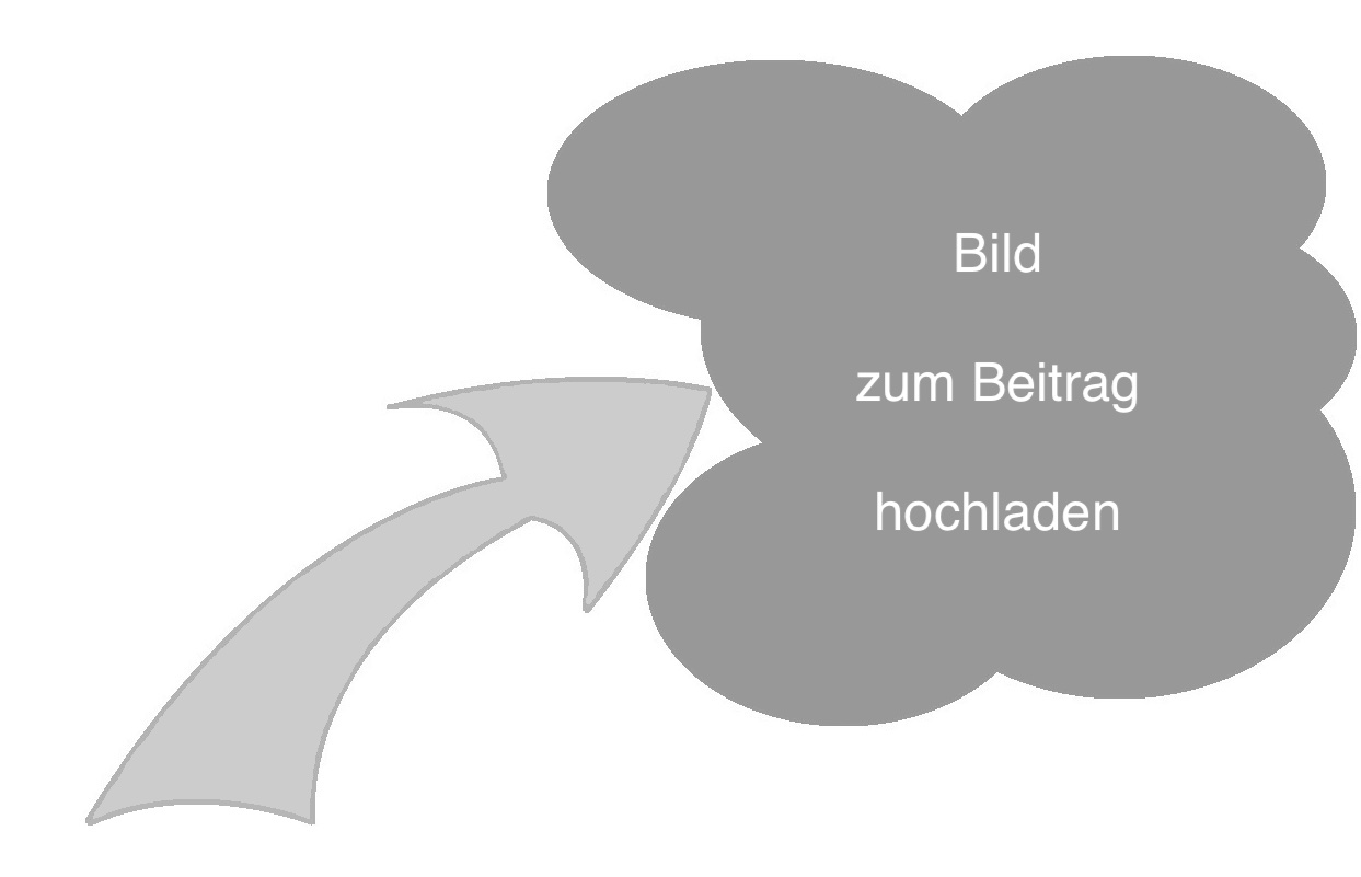 Bild zum Beitrag